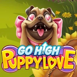 Go High Puppy Love game by RubyPlay – logo hosted on Jack`s Casino